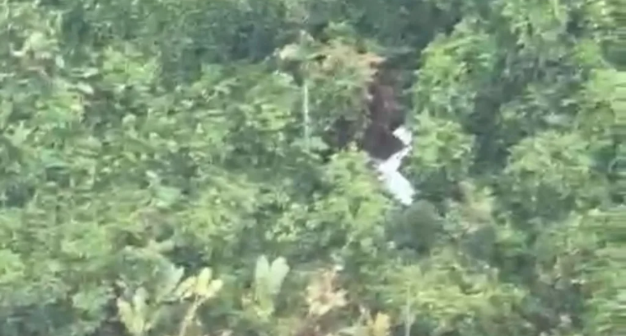 PILOTO ENCONTRADO RORAIMA